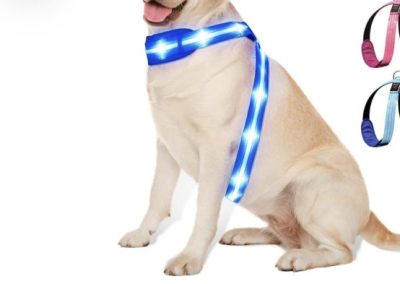 Light up dog harness